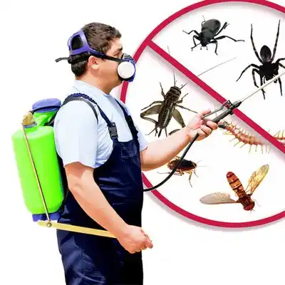 pest control Zebulon